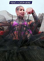 Foto #13 de Blondie Jones