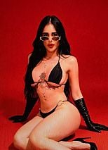 Photo #2 of Zeynett Adabull