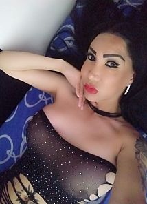 Chicago Shemale Escorts