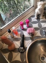 Photo #73 of Antonella Fox