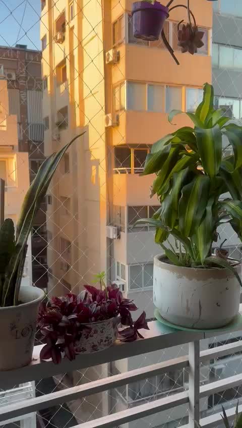 Video #3 de Azul Vip