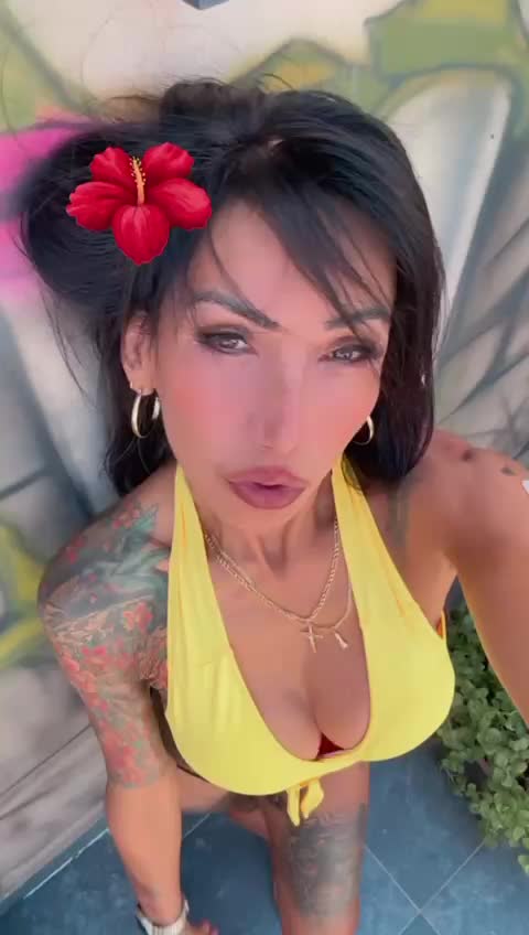 Video #15 of Pantera