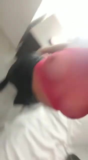 Video #2 of Dani