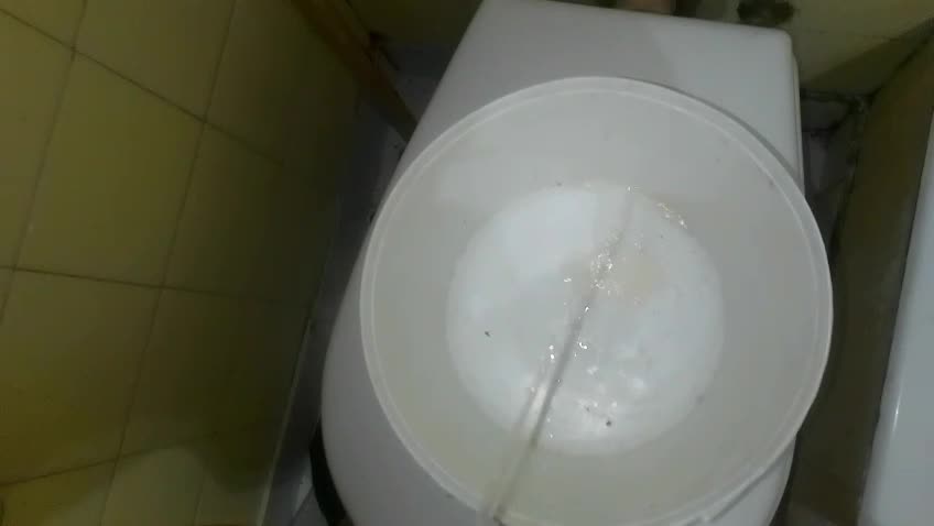 Astrid Ciroxs - Shemale Escort in Capital Federal