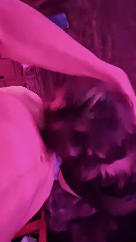 Video #29 of Joana