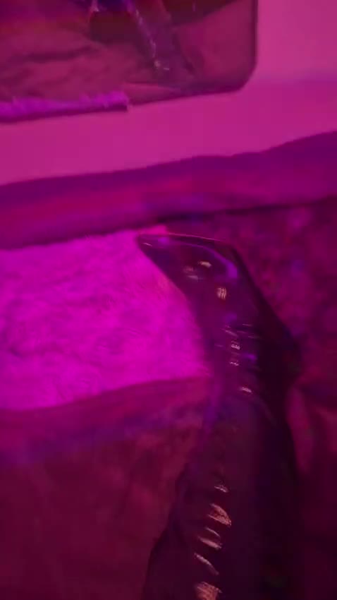 Video #13 of Joana
