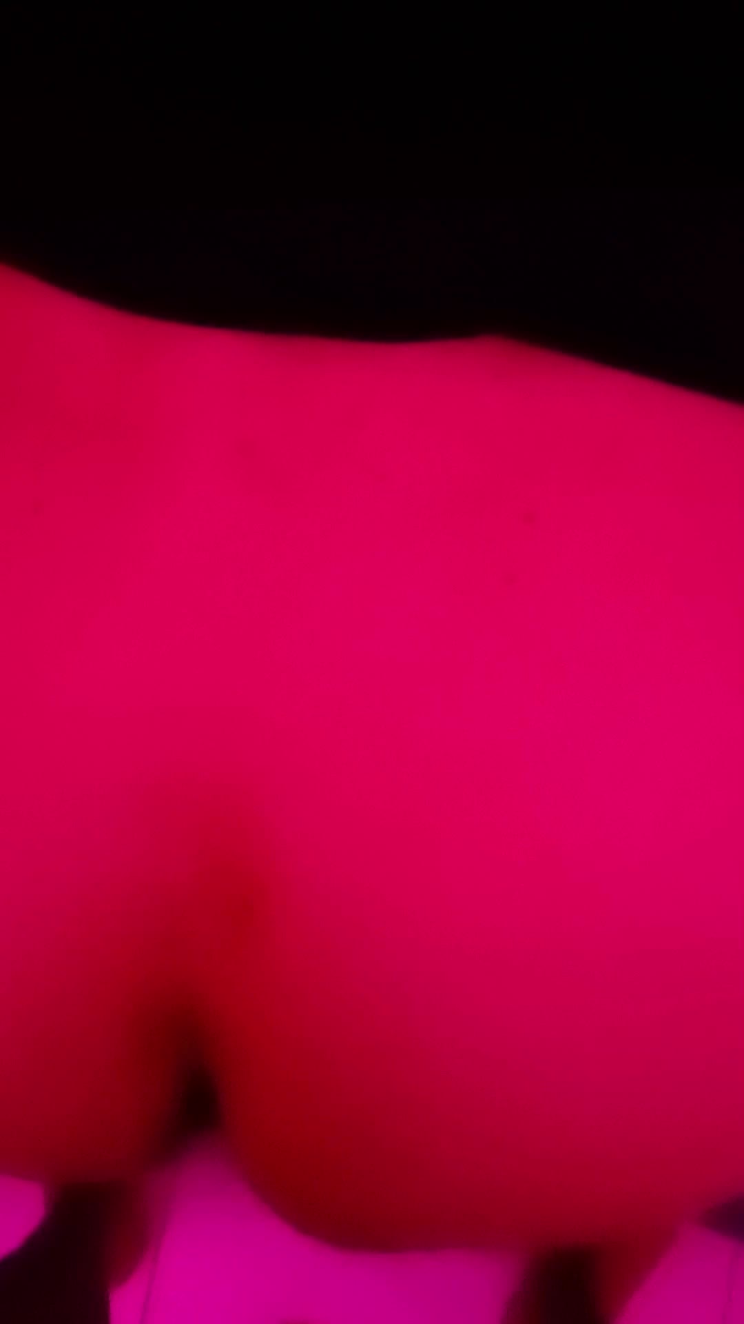 Gaby Activa - Shemale Escort in Mar de Ajó